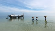 Tubbataha Reef Ranger