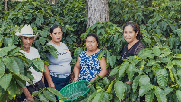 three women and one man standing between tall plants