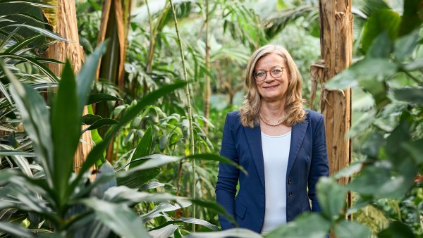 Christiane Laibach Mitglied des Vorstands der KfW im Palmenhaus des Palmengartens