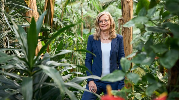 Christiane Laibach Mitglied des Vorstands der KfW im Palmenhaus des Palmengartens