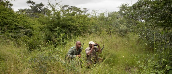 Ranger in Kaza Conservation area