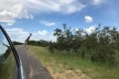 Giraffe im Kaza Naturpark