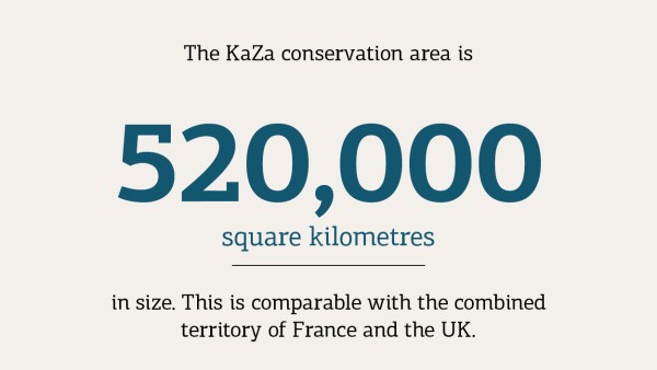 KaZa is the world's largest cross-border conservation park