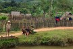 Kinder in einem laotischen Dorf spielen am Fluss.