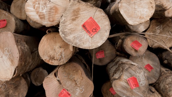 Piled logs in Laos