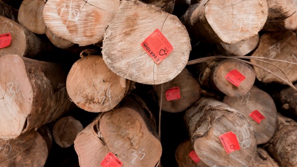 Gespapelte Holzstämme in Laos