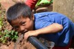 A boy drinking from a water pipe.