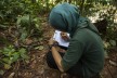 Trainerin macht Notizen über das Verhalten der Orang-Utans in der Urwaldschule Sumatras