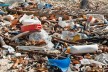 Marine biodiversity in Indonesia is threatened by plastic waste
