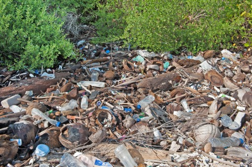 Plastic waste at the coast