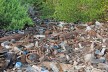 Plastic waste at the coast