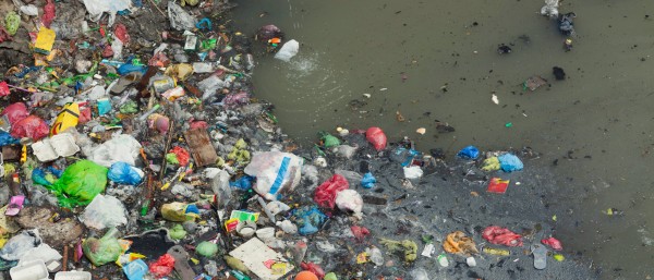 Plastikmüll im Meer bedroht das Ökosystem