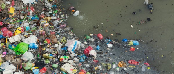 Plastikmüll im Meer bedroht das Ökosystem