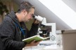 Nagola-Re-Mitarbeiter arbeitet mit einem Mikroskop