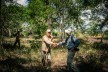 Workers reforestation in the rainforest in Brazil