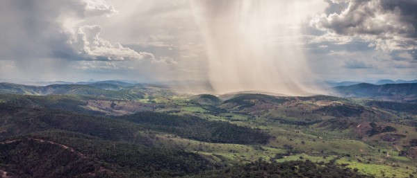 Regenwald Brasilien