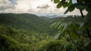 Landschaft Brasilien