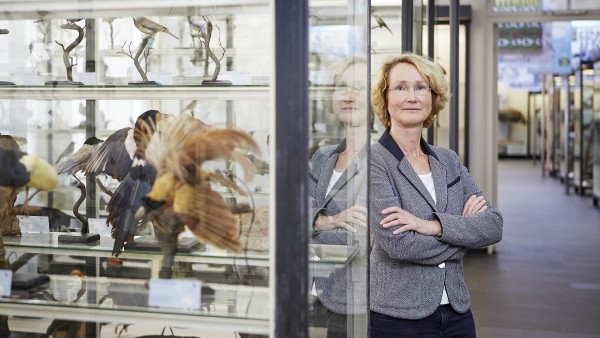Katrin Böhning-Gaese in der Vogelhalle im Senckenberg Museum