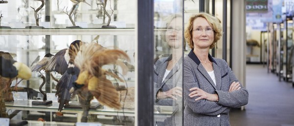 Katrin Böhning-Gaese in der Vogelhalle im Senckenberg Museum