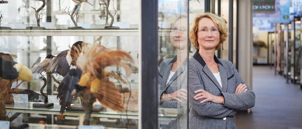 Katrin Böhning-Gaese in der Vogelhalle im Senckenberg Museum