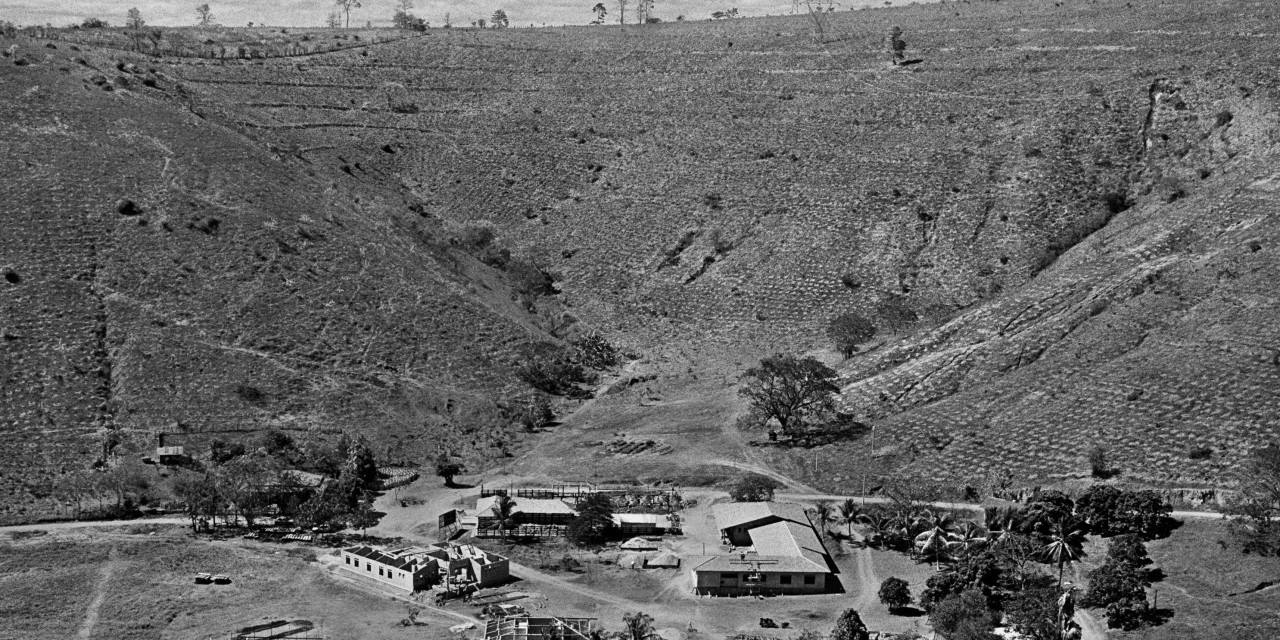 Instituto Terra Sebastião Salgado