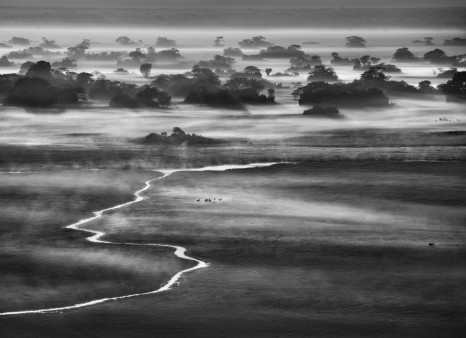 Kafue national park, Zambia