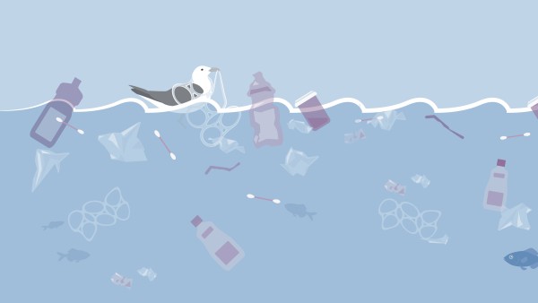 Infografik Plastik im Meer