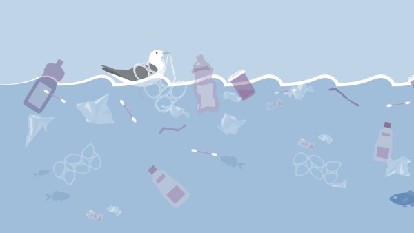 Infografik Plastik im Meer