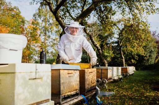 bees boxes in Ganderkesee