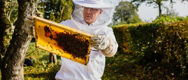 Gründer Schimanski mit Bienen