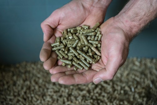 Pellets aus Heu sind die Grundlage für die Graspapier-Produktion.