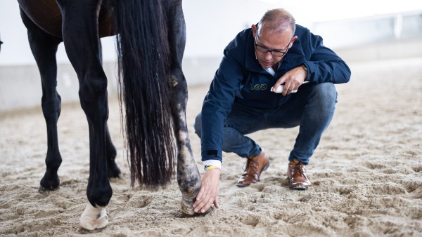 Ein Mann trägt die Pflegesalbe auf ein Pferdehuf