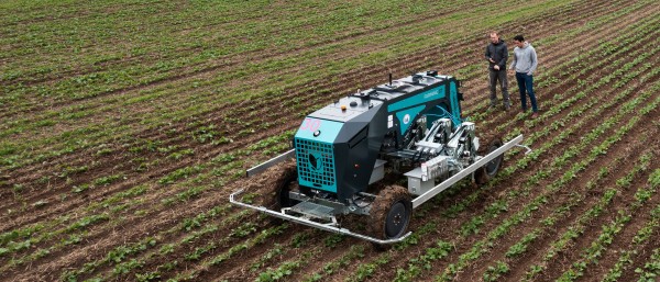 Farming Revolution setzen den KI- gestützen autonomen Hackroboter Namens „Farming GT“ auf einem Feld ein um den Raps von Unkraut zu befreien. 