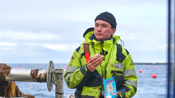 Algen aus Norwegen für die Produktsherstellung von wunderfish