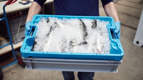 Kai Wagner, one of the three co-founders of Seawater Cubes, at the delivery of the fish