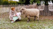 Gründerin Ruppersberg mit einem ihrer Schafe