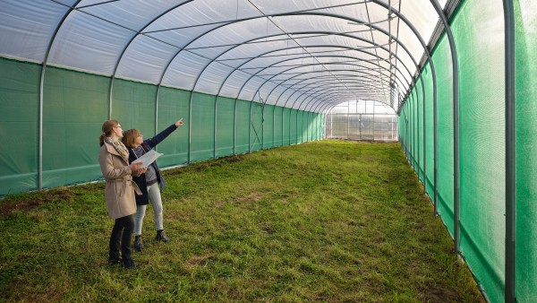 Systema Natura’s greenhouse