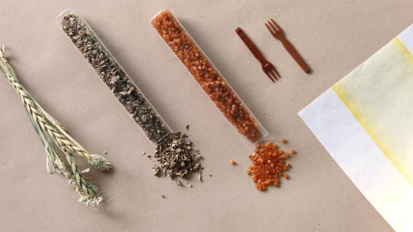  Agricultural waste laid out on a table