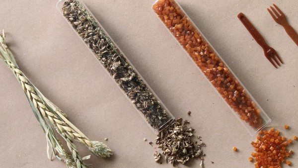 Agricultural waste laid out on a table