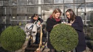 Mit horizontal wachsenden Bäumen revolutioniert eine Biologin aus Stuttgart den Kampf gegen innerstädtischen Smog