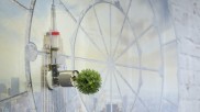 Mit horizontal wachsenden Bäumen revolutioniert eine Biologin aus Stuttgart den Kampf gegen innerstädtischen Smog