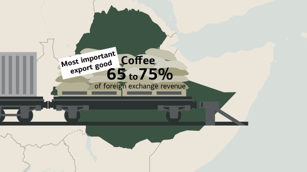 Illustration Ethiopia coffee exports