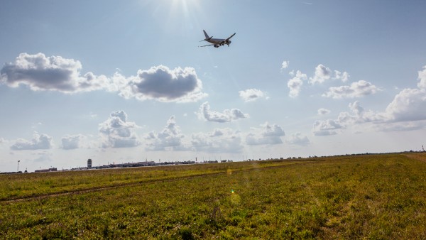 Nikola-Tesla-Airport in Belgrad im Sommer 2019