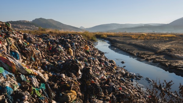 Plastikmüll in Berat