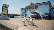 Wenchi Rural Bank of Ghana