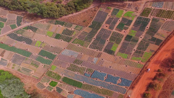 View from above on fields in Mali