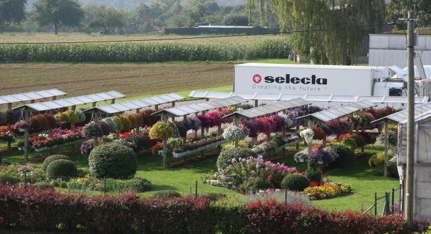 Schaugarten von Selecta one in Stuttgart